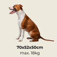 Prepravná taška pre psy a mačky ELI, 70x52x52cm, šedá