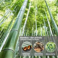 Bambusový stojan na oblečenie RADO, 66x40x163,3cm, hnedá